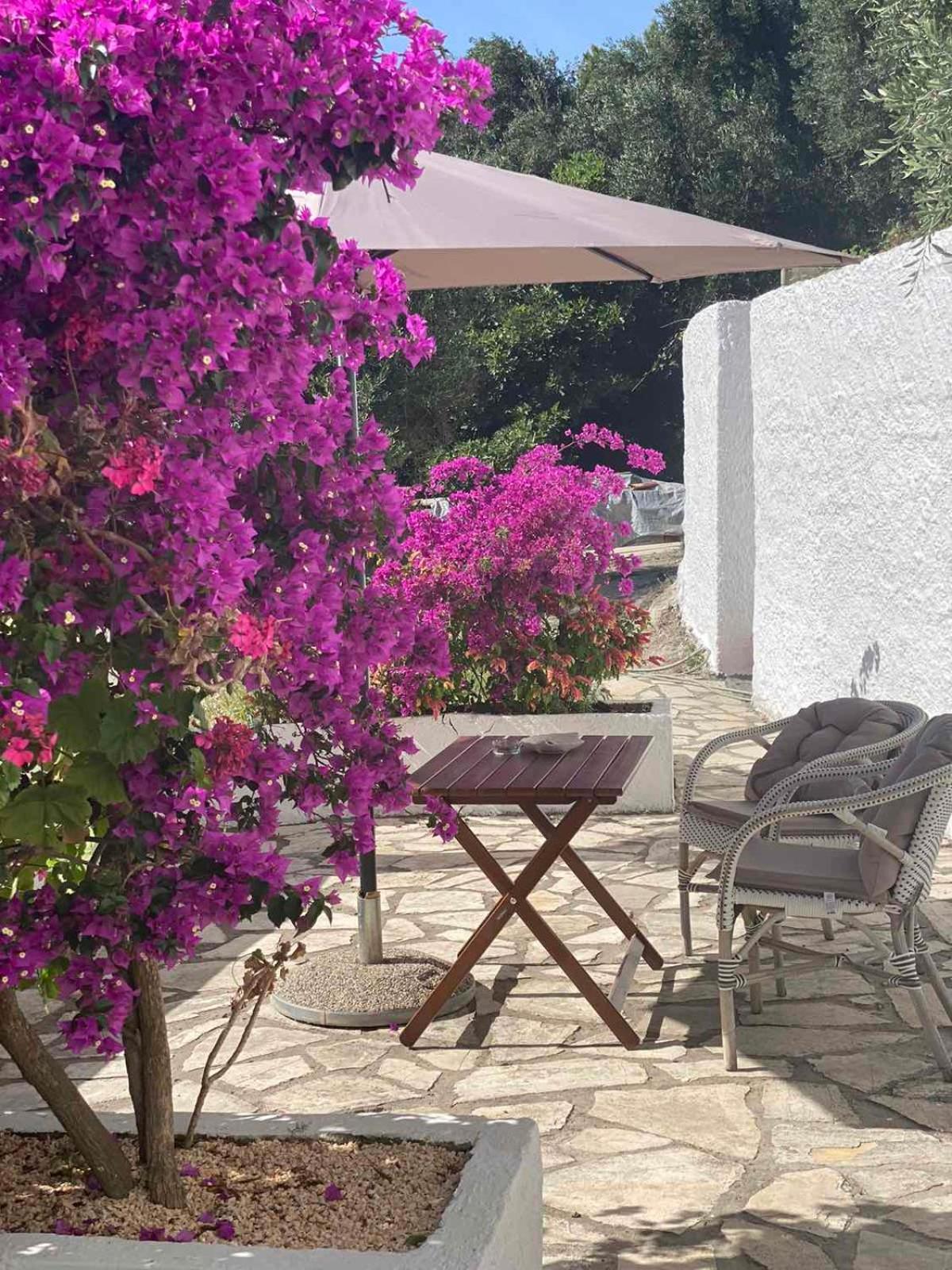 Vicky'S Panoramic View Apartments Pelekas Exterior photo