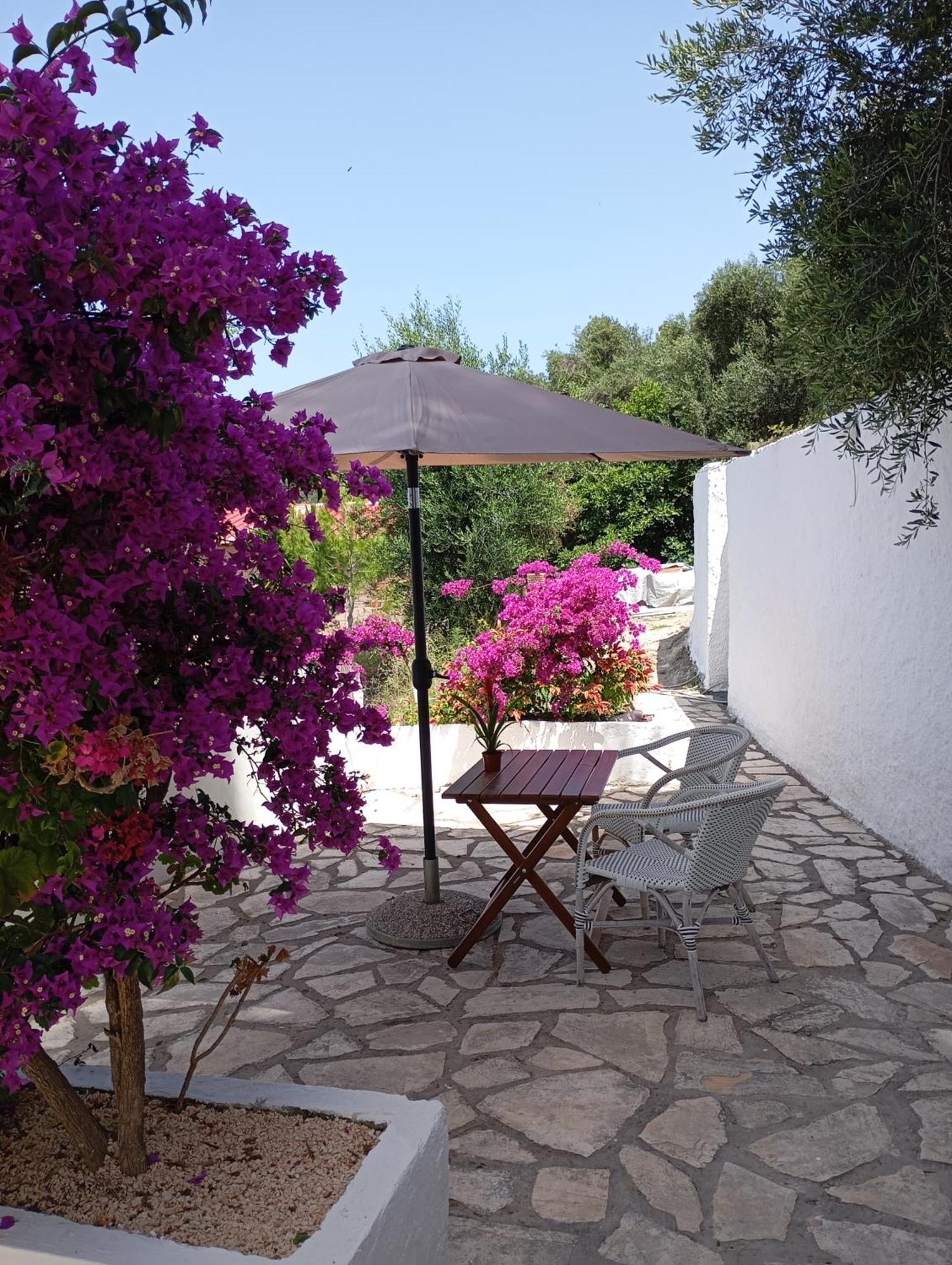 Vicky'S Panoramic View Apartments Pelekas Exterior photo